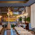 Restaurace