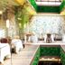 Restaurace