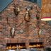 Restaurace
