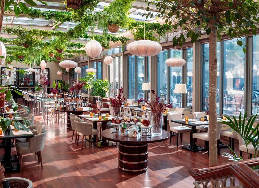 Restaurace Fotografie