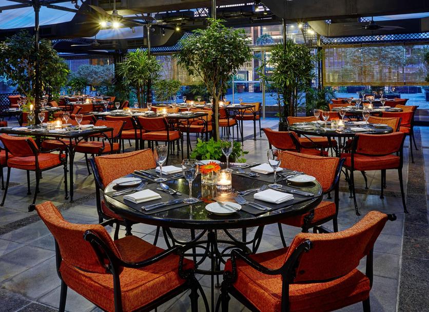 Restaurace Fotografie