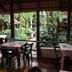 Restaurace