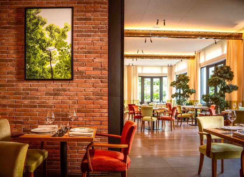 Restaurace Fotografie