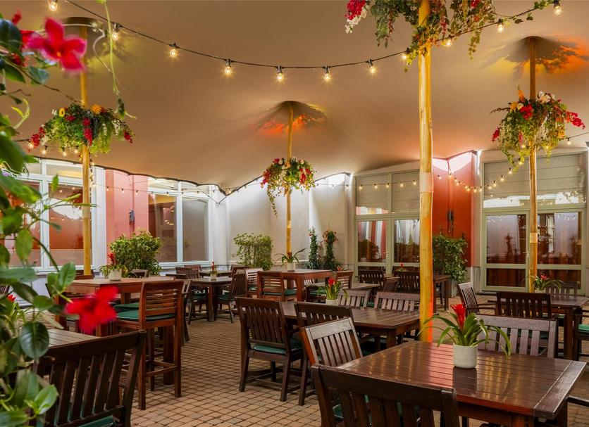 Restaurace Fotografie