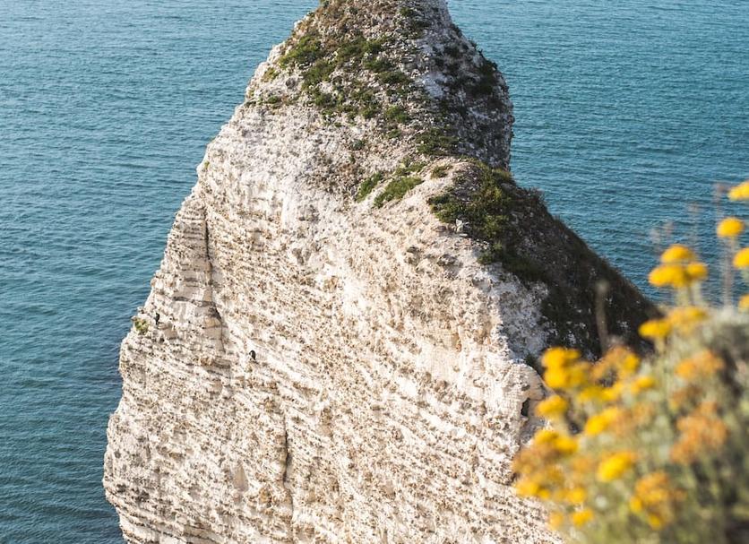 Ostatní Fotografie