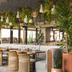 Restaurace