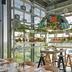 Restaurace