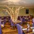 Restaurace