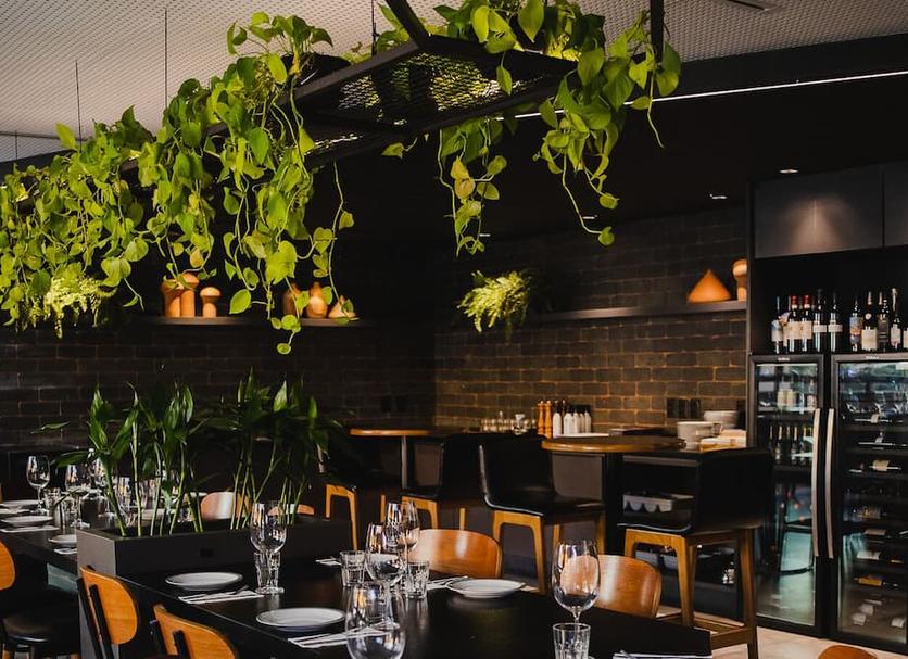 Restaurace Fotografie