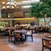 Restaurace