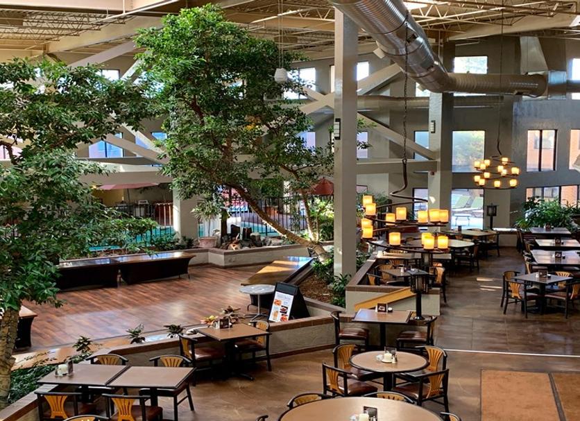 Restaurace Fotografie